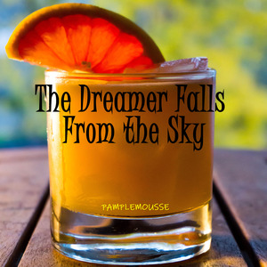 The Dreamer Falls From the Sky