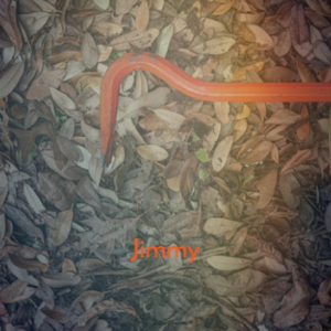 If You Really Want To Reggae