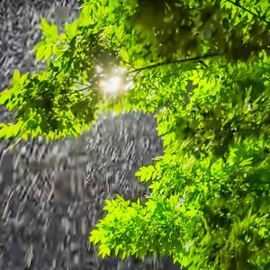 Ötmush-过去