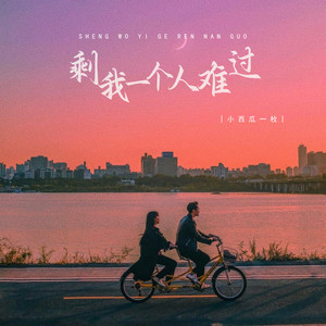 剩我一个人难过 (DJ版)