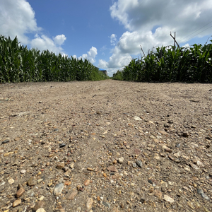 平凡日子里的快乐