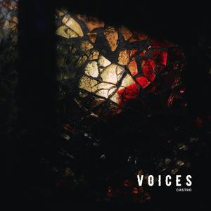 VOICES (feat. Andreias T., Nikola & Alice)