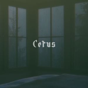 人鱼