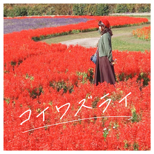 コイワズライ (Cover)