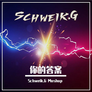 阿冗-你的答案 (Schweik.G Hard Dance Mix)（Schweik.G remix）