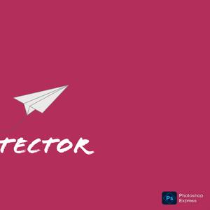 Protector