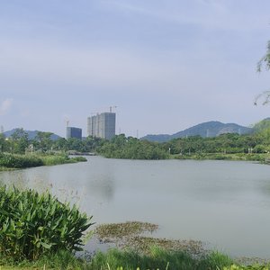 崇如青 - 闭上眼睛会想起的人