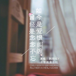 曾经是念念不忘如今是爱恨纠缠