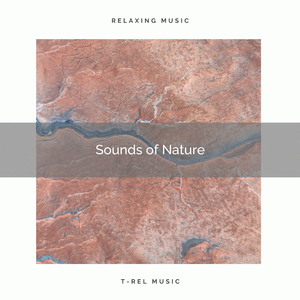 Flowing River Noises for Relax