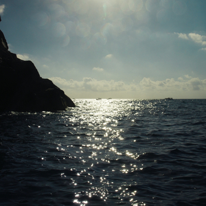 带海会总结去年的带海吗