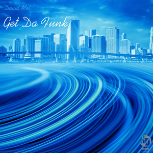 Get Da Funk (Saleem Razvi's Soul Infusion Remix)