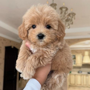 Better Man Than I Was (sped up)