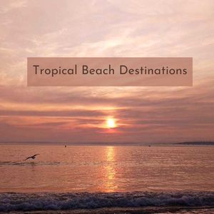 Ocean Breezes & Island Rhythms