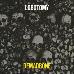 Lobotomy