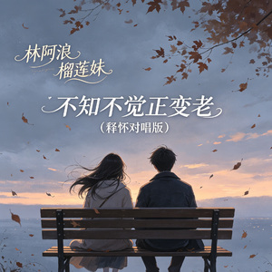 不知不觉正变老（释怀对唱版）