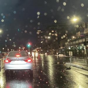 知道不知道 口琴版