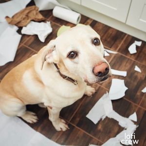 The Fear of the Unknown