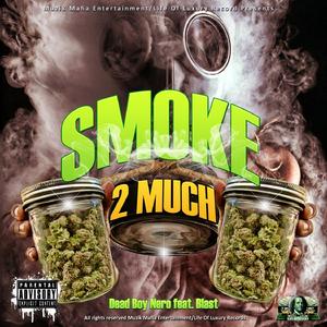 Smoke Too Much (feat. Blast) (Single)