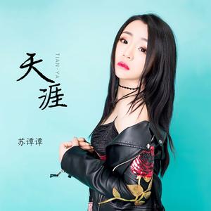 天涯 (DJ默涵版)