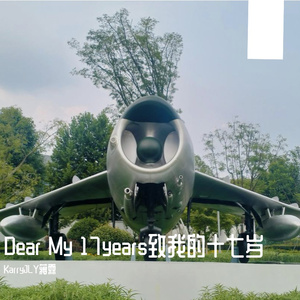 骄傲的少年(cover 南征北战NZBZ)