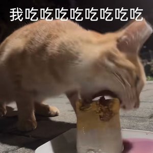 Photogenic Boy_棉花糖