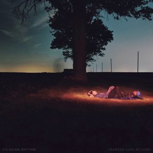 Cicada! Cicada! Cicada! (Bemis Woods, IL)