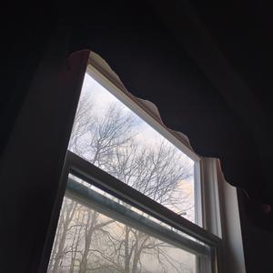 Doomscrolling (Revision)