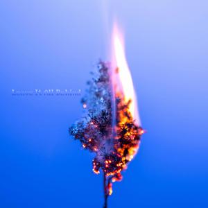 One Day Things Will Be Better