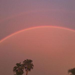 我忘了你的名字