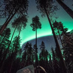 Reunion In The Wind(重逢风中）