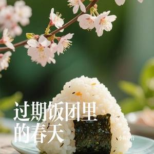 过期饭团里的春天
