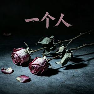 一个人(乌云一层一层的遮住了光)