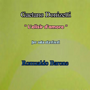 L'elisir d'amore, No. 17, Op. 24: II. Andantino