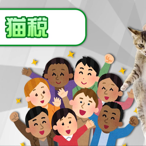 【梗百科】猫税是啥梗赛博难民涌入国内