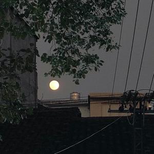 我梦想自由贯穿一生