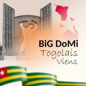 Togolais Viens
