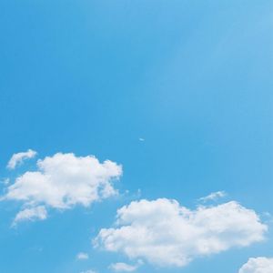 森林深处的呼唤