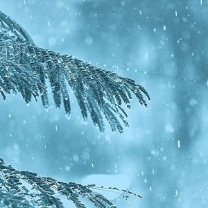 一尘不染重点印象数