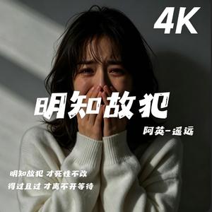 明知故犯