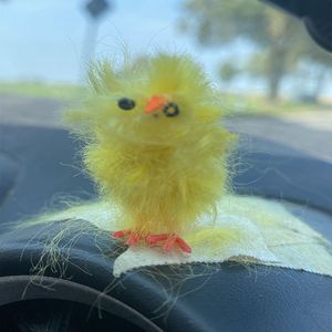 Das traurige Schicksal des Chicko (Ki)