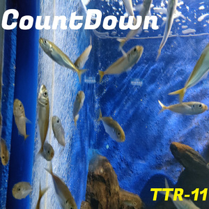 自分が何も知らないことを知ってる