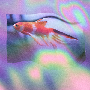 ブルーライトアイズ