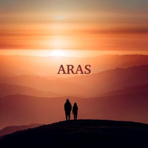 Aras