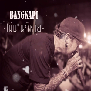 ไม่นานก็หาย