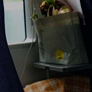 夏天的风（合唱版）（翻自 火羊瞌睡了）