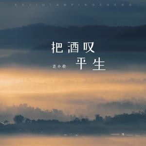 把酒叹平生 (DJ范小松版)