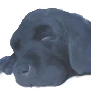 改變 （已母带化）