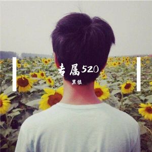 专属520