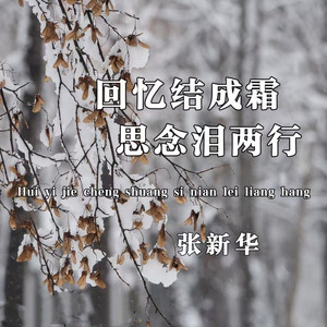 回忆结成霜思念泪两行