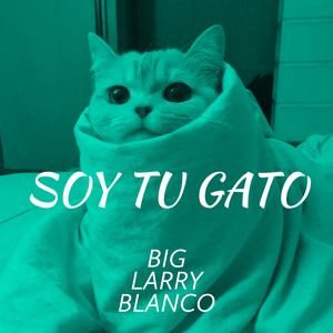 soy tu gato (Speed Up Version)